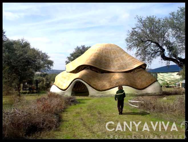 BOOM Festival